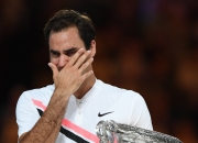 开云体育入口-德国网球队力克世界网球队，费德勒惊艳世界的简单介绍