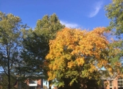 开云体育平台APP-大洋彼岸：瓦伦西亚踢出天际线