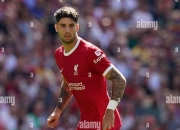 开云体育下载-关于匈牙利队历尽千辛万苦，欧洲杯晋级的信息