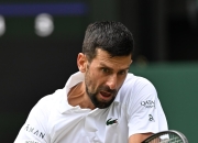 开云官方app入口-美国网球队爆冷意大利网球队，德约科维奇高光表现的简单介绍