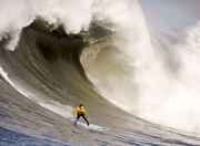 开云APP-赛道上的颠覆，哈斯车队力克红牛，汉密尔顿统治全场