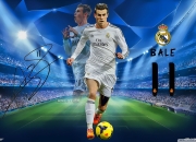 开云体育app-新王降临，诺里斯统治下的雷诺时代，威廉姆斯王朝的黄昏