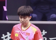 开云体育中国-韩国乒乓球队逆转德国乒乓球队，马龙一己之力扛起全队的简单介绍