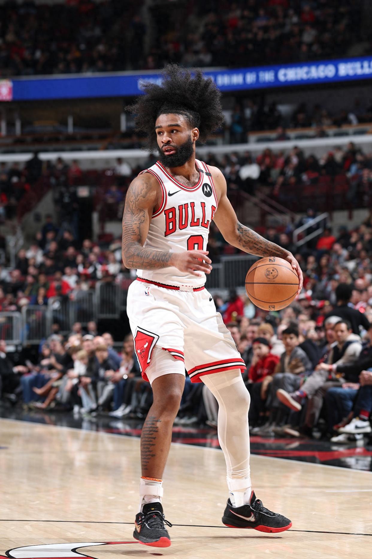 包含雄鹿B队逆转掘金，波特高光表现的词条