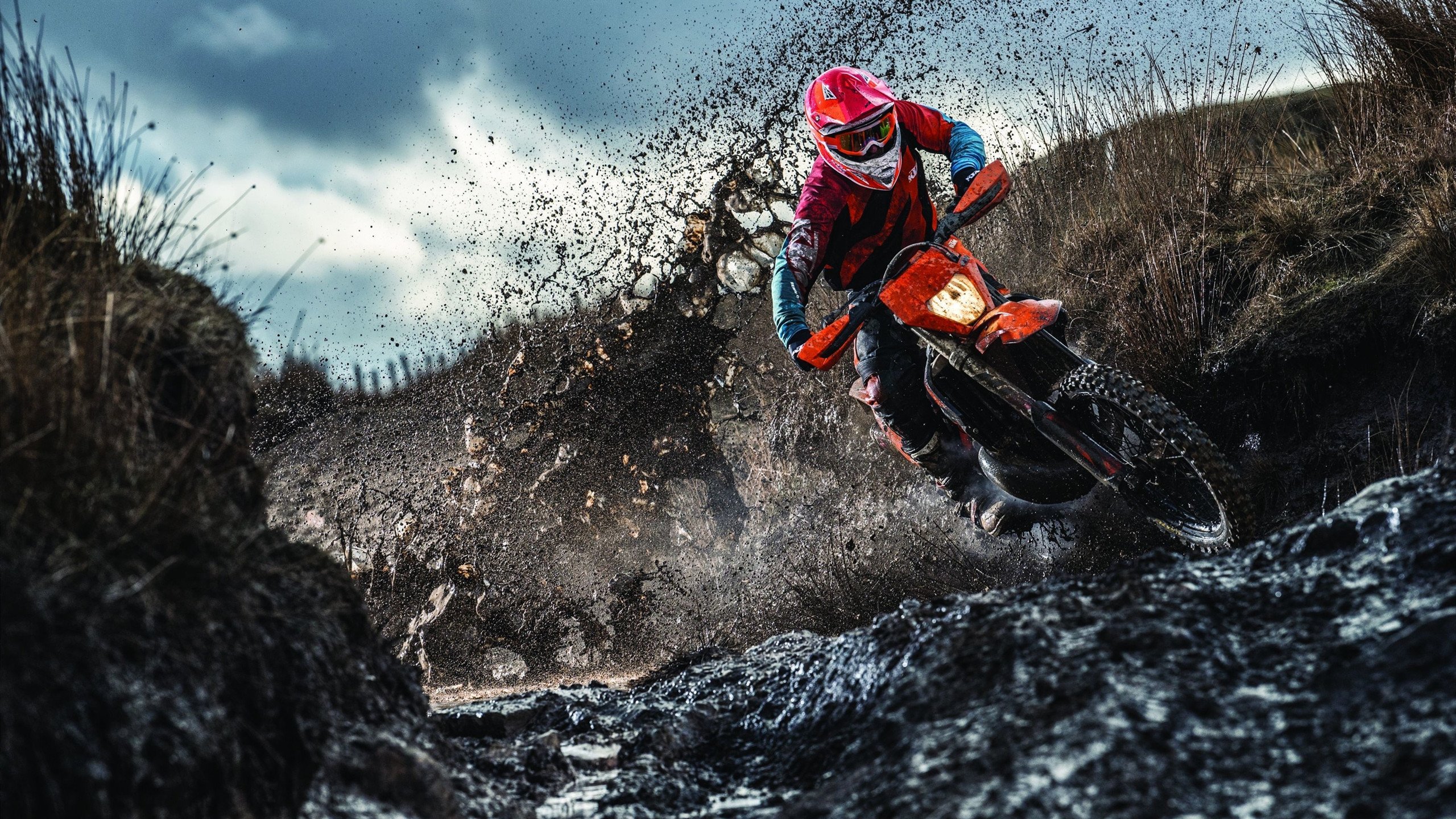 浓眉无解统治力成胜负手，广东队跨过鹈鹕挺进淘汰赛下一轮